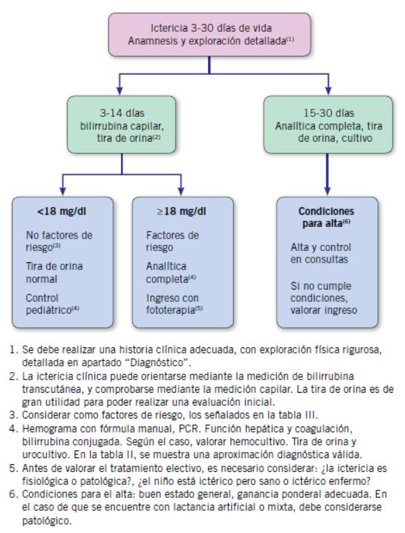 Figura 2 Algoritmo Del Tratamiento De Las Convulsiones Neonatales ...