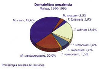 Figura 10.Prevalencia de los distintos dermatifitos en micosis cutáneos en el área de Málaga (1990-1995). Se pone de manifiesto el Mycosporum canis como el más prevalente.