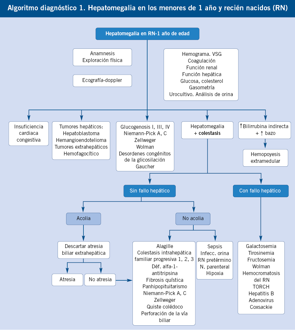 Hepatoesplenomegalia masiva en un paciente con enfermedad de Niemann