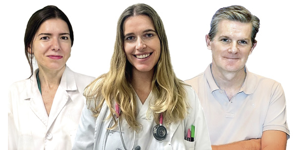 E. Sebastián Pérez,  I. Castaño Caballero,  J. Sevilla Navarro*