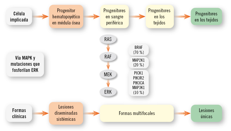 2026-n6-B4_VictorQuintero-Fig1.jpg