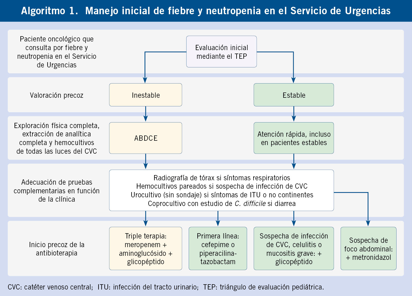 n6-409-419_InigoFigueroa-Algoritmo1.jpg